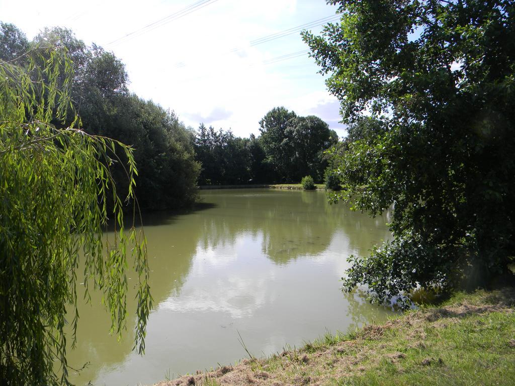 Vila Domaine Des Mille Oiseaux Villiers-Charlemagne Exteriér fotografie