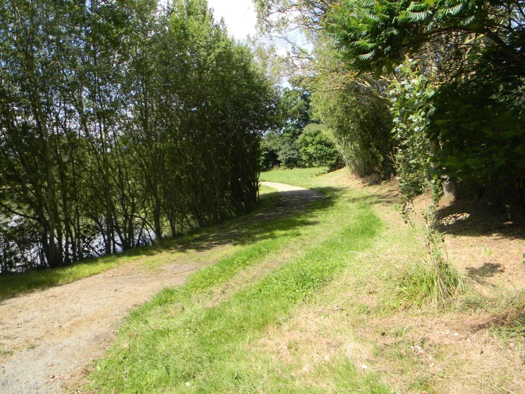 Vila Domaine Des Mille Oiseaux Villiers-Charlemagne Exteriér fotografie